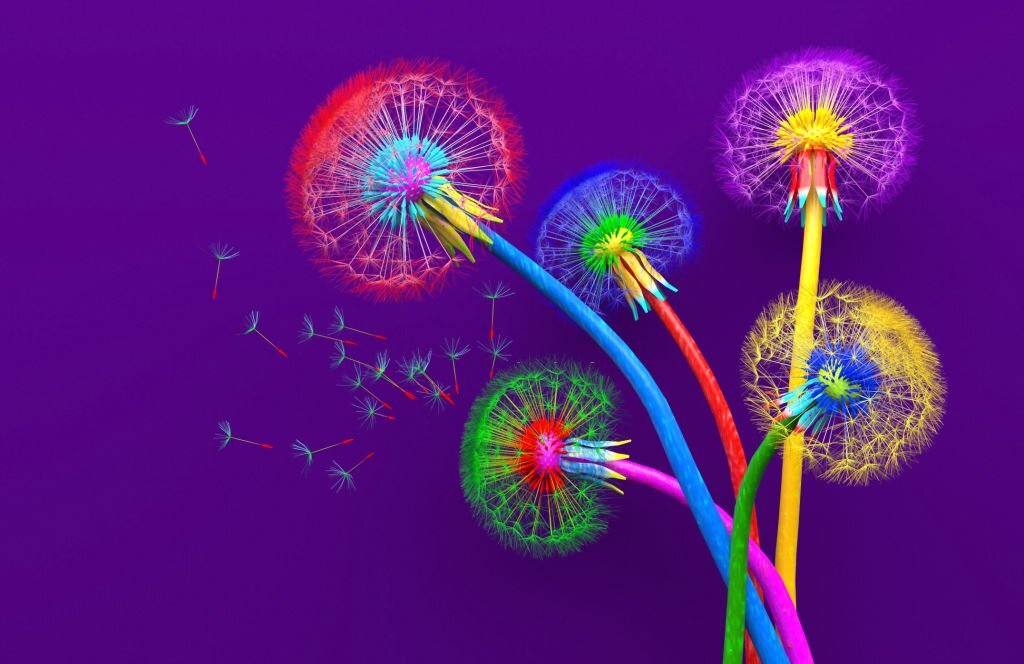 color Personality-test